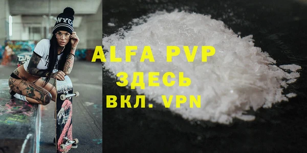 бошки Пересвет